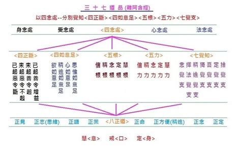 五根|五根、五力、七菩提分、八圣道分略解